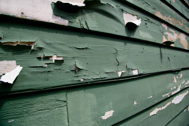 How To Choose The Right Materials for Your Siding Installation in 'Little Falls, NY